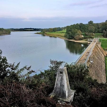 Charmant Appartement Entre Vitre Et Fougeres Chatillon-en-Vendelais Eksteriør billede