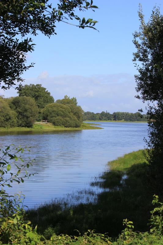 Charmant Appartement Entre Vitre Et Fougeres Chatillon-en-Vendelais Eksteriør billede