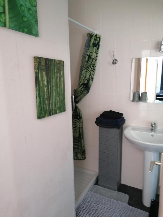 Charmant Appartement Entre Vitre Et Fougeres Chatillon-en-Vendelais Eksteriør billede
